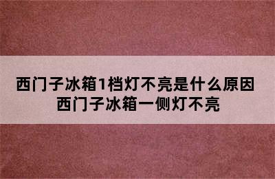 西门子冰箱1档灯不亮是什么原因 西门子冰箱一侧灯不亮